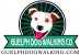 Guelph Dog Walking Co